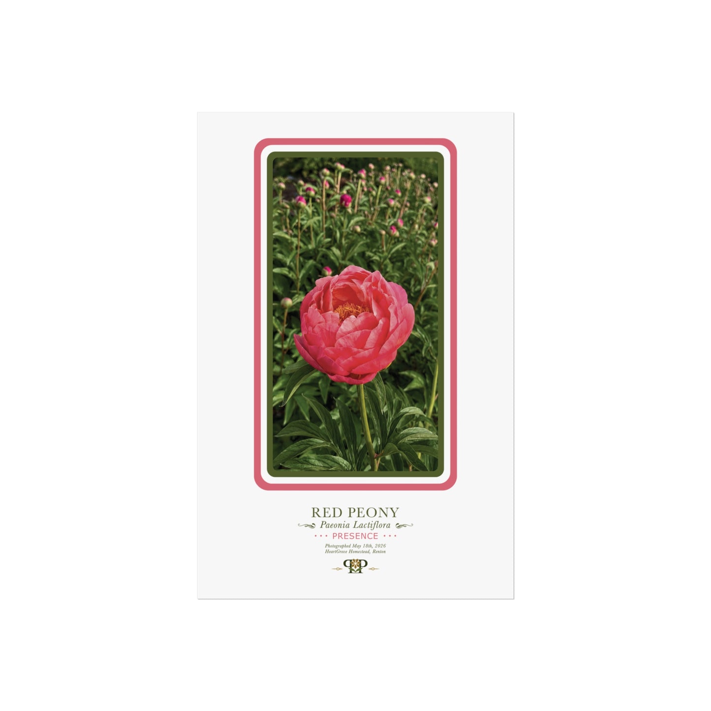 Orange Azalea Fine Art Poster | Botanical Wall Art | Vitality Nature Print