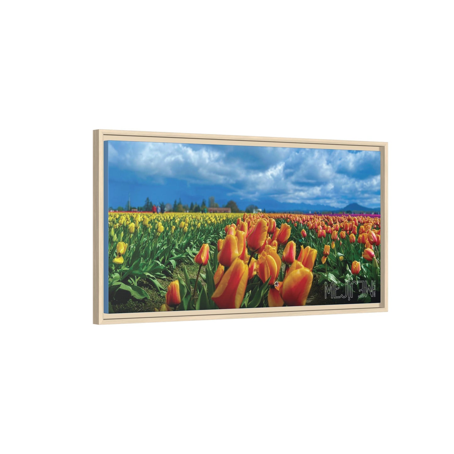 "TULIPANES 001 — Chromatic" Skagit Valley Tulip Field Print — Matte Canvas Wall Art