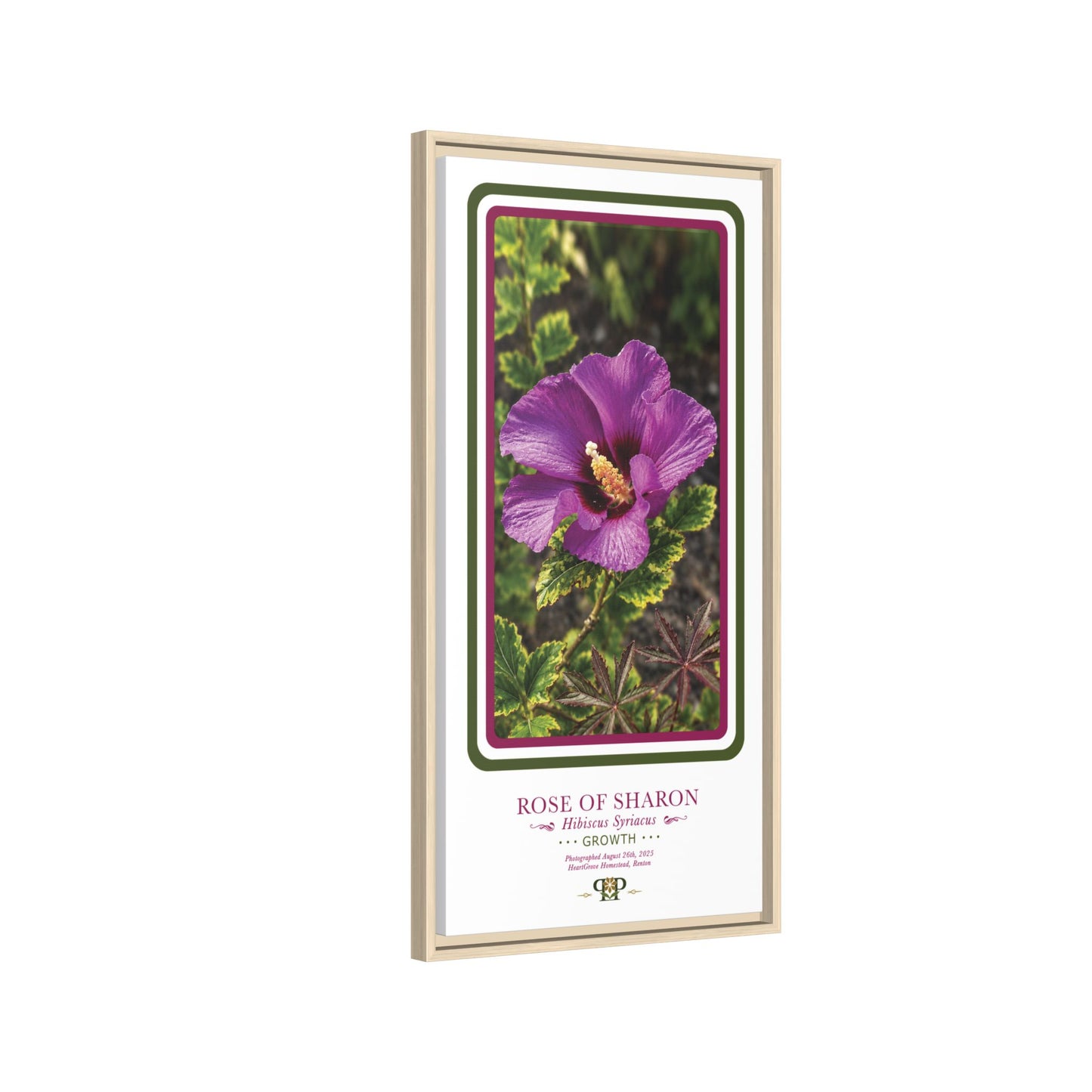 Framed “Growth” Hibiscus Botanical Wall Art - “PRIDE, PLANTED: ROOTED IN WORTH” COLLECTION