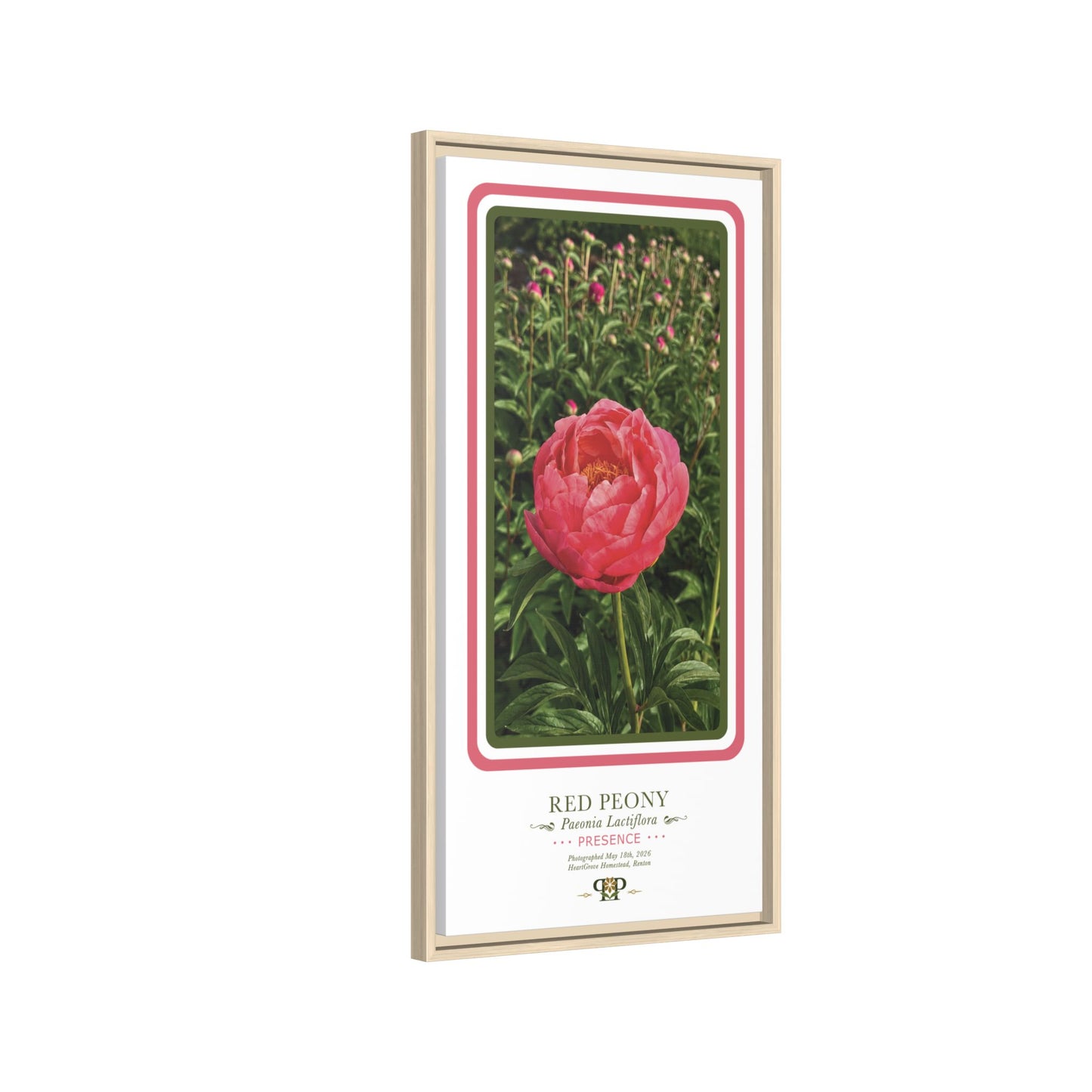 Framed “Presence” Red Peony Botanical Wall Art - “PRIDE, PLANTED: ROOTED IN WORTH” COLLECTION