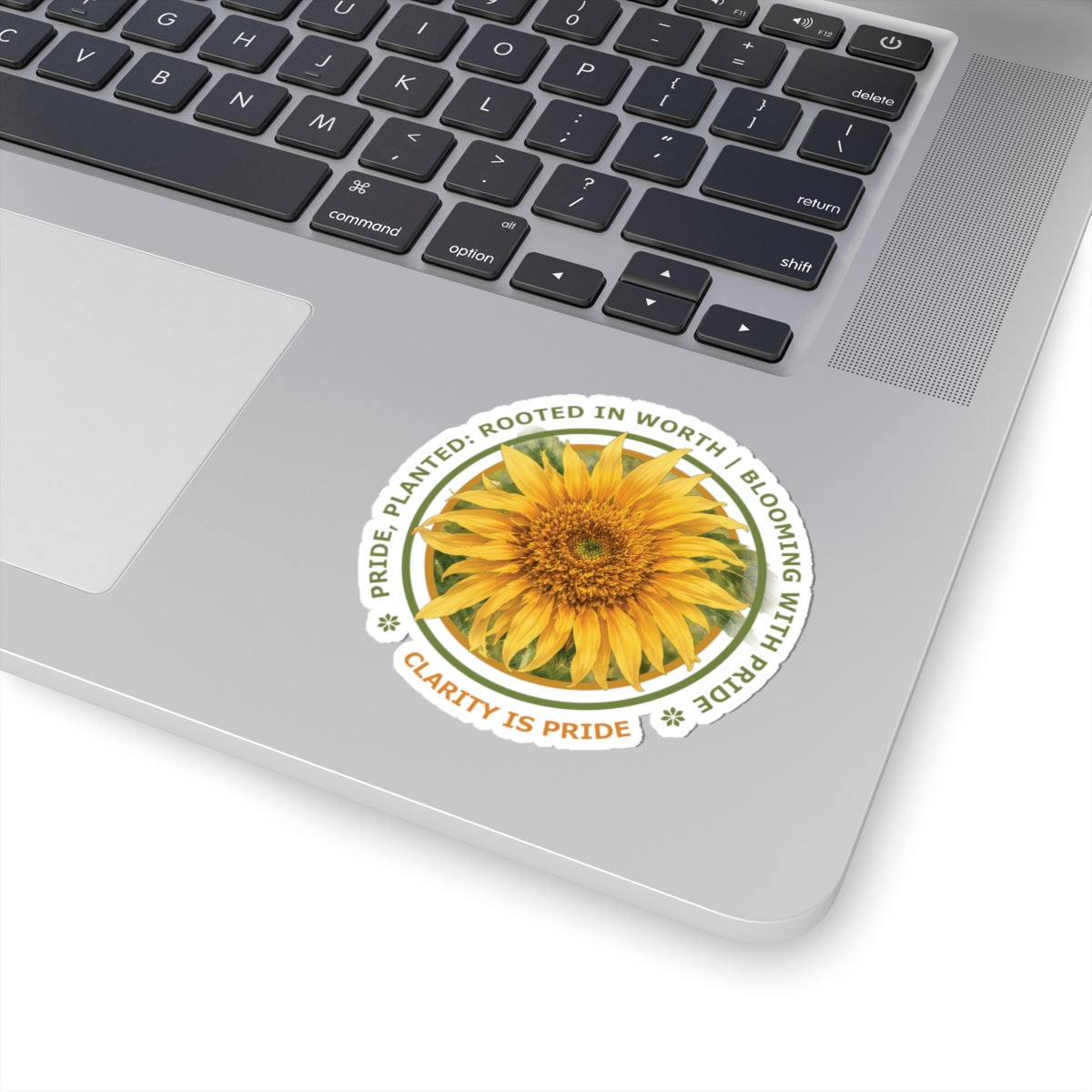 “Clarity Is Pride” Vinyl Sticker - Pride, Planted: Rooted in Worth collection.