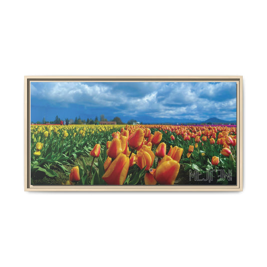"TULIPANES 001 — Chromatic" Skagit Valley Tulip Field Print — Matte Canvas Wall Art