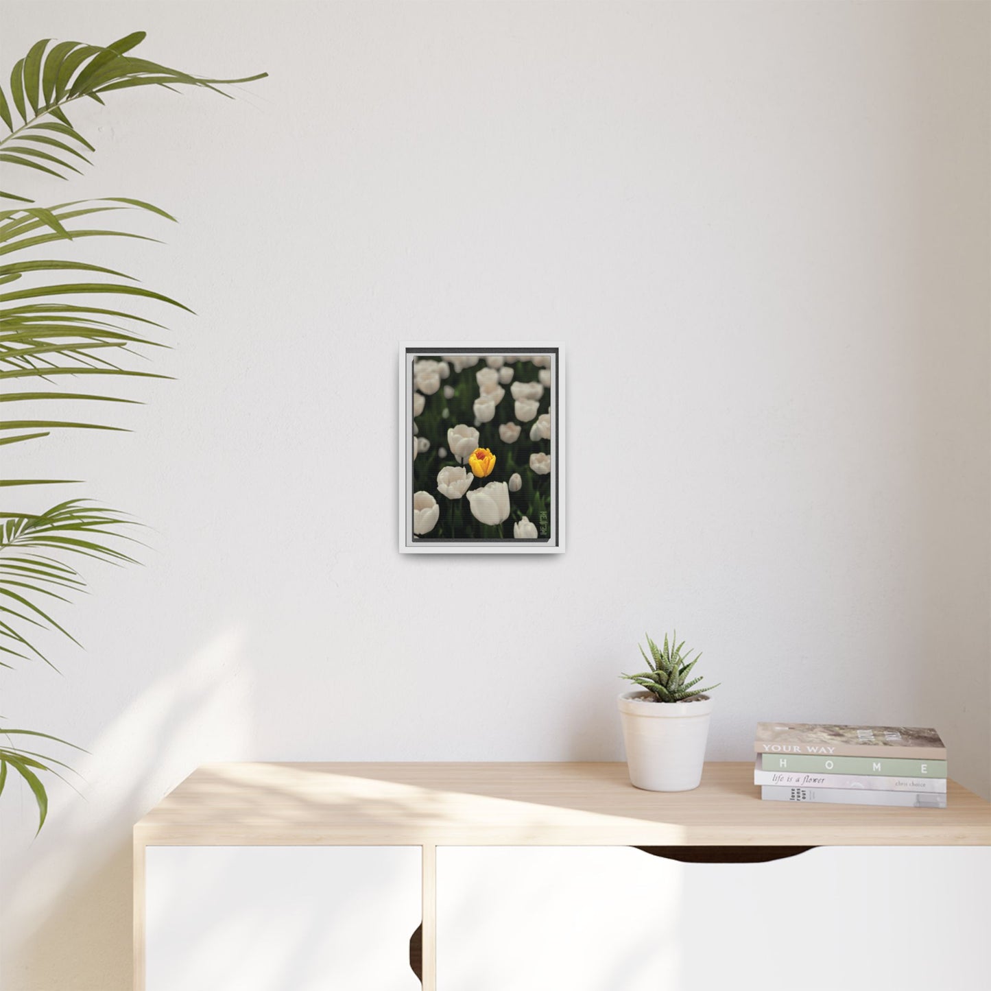 DAWNBREAK 002 — Solace Meji Explore Series: Tulips | Skagit Valley, WA GroveSense™ by José Domingo