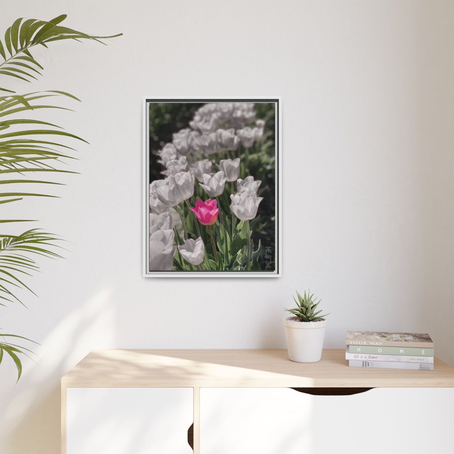 ROSEATE 002 — Serenity Meji Explore Series: Tulips | Skagit Valley, WA GroveSense™ by José Domingo