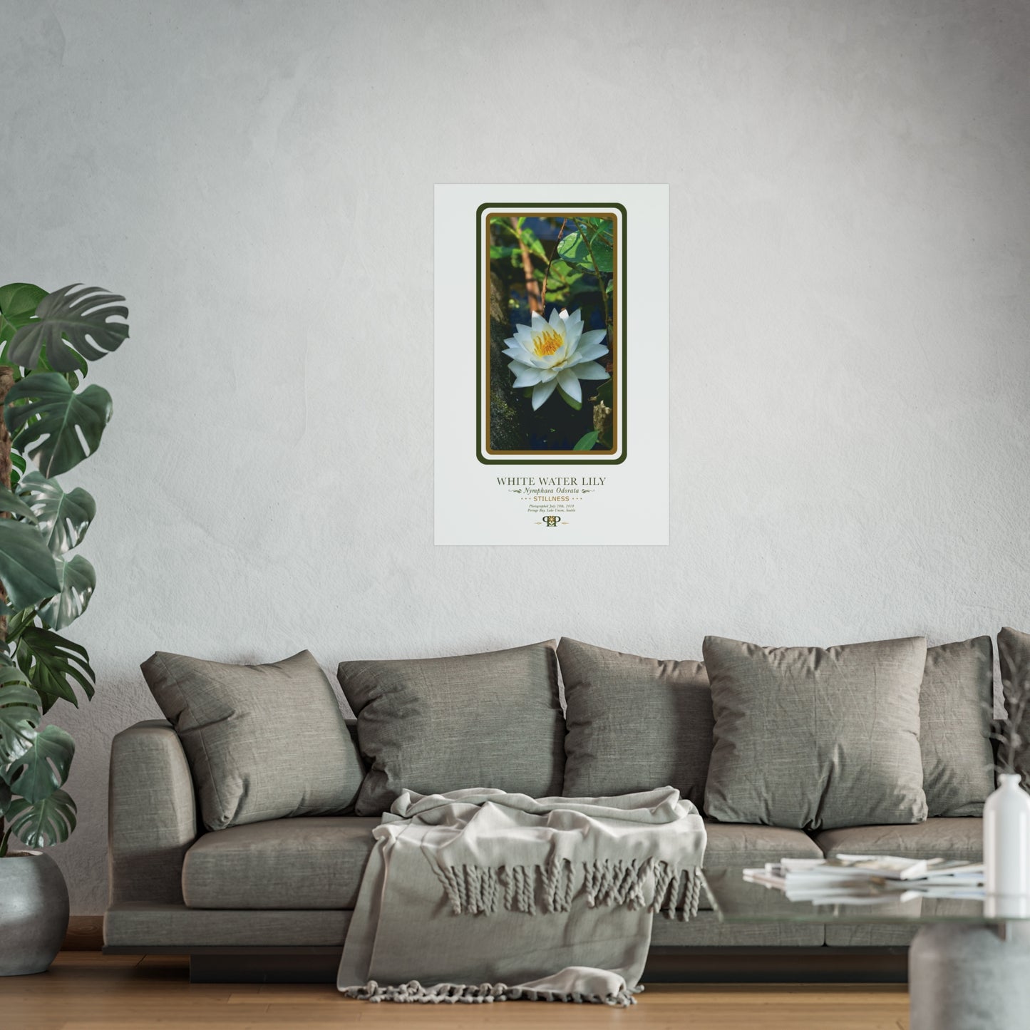 White Water Lily Fine Art Poster | Botanical Wall Art | Stillness Nature Print