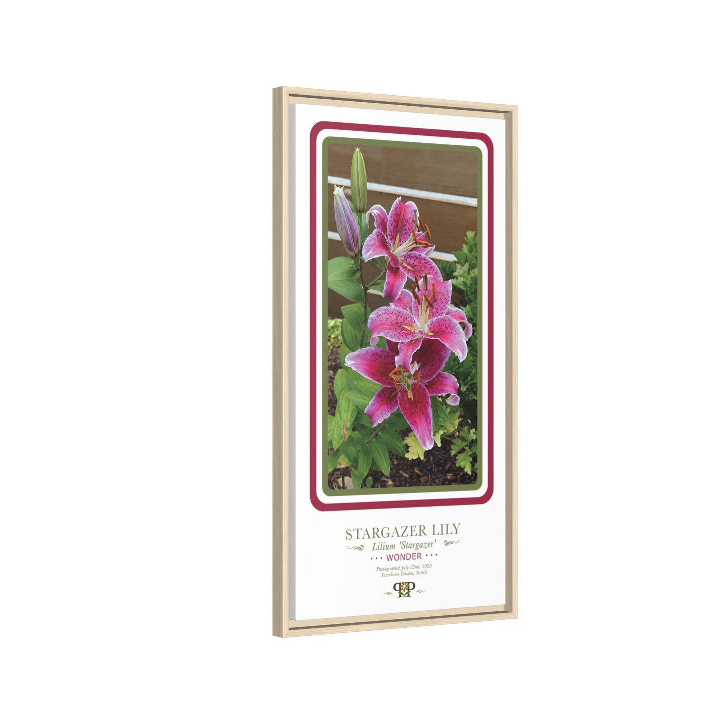 Framed “Wonder” Stargazer Lily Botanical Wall Art - “PRIDE, PLANTED: ROOTED IN WORTH” COLLECTION