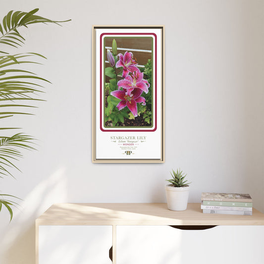 Framed “Wonder” Stargazer Lily Botanical Wall Art - “PRIDE, PLANTED: ROOTED IN WORTH” COLLECTION