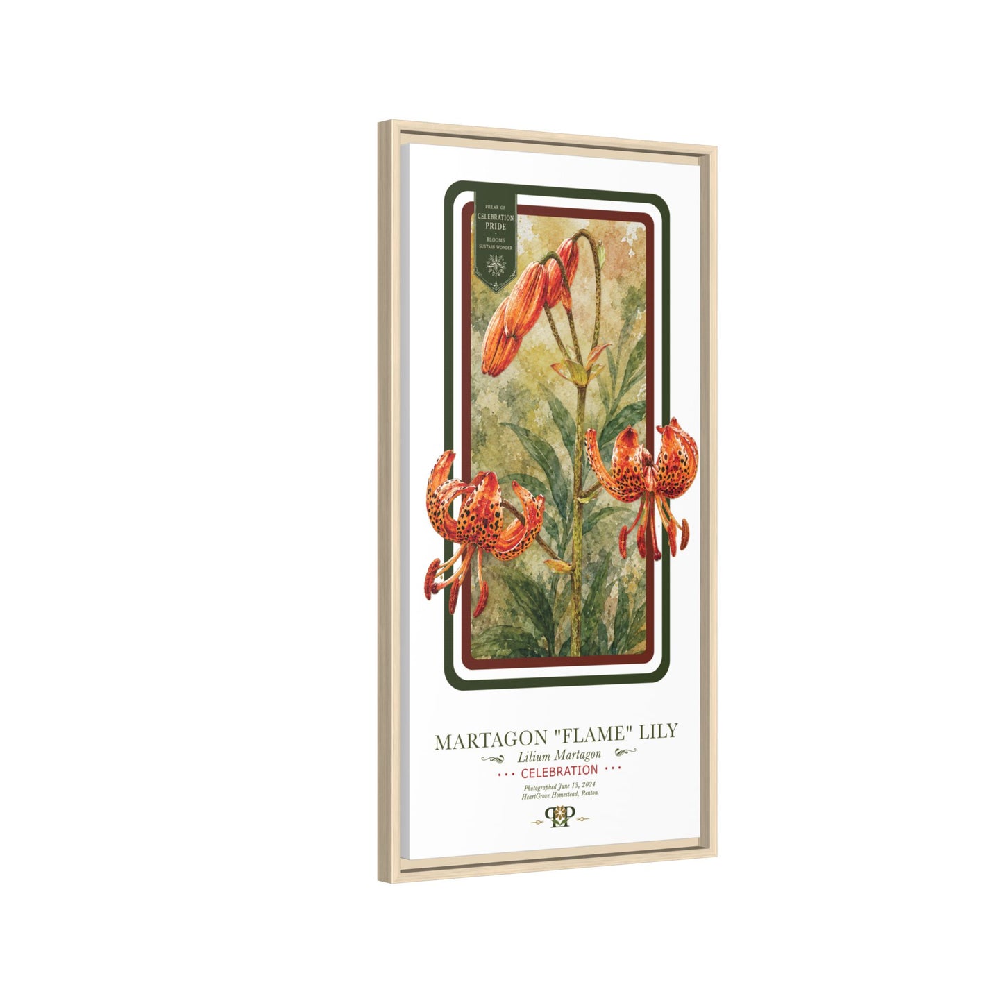 Framed “Celebration” Martagon Flame Lily Botanical Wall Art “PRIDE, PLANTED: ROOTED IN WORTH” COLLECTION