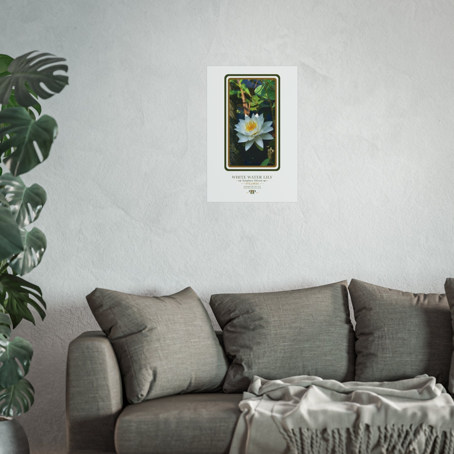 White Water Lily Fine Art Poster | Botanical Wall Art | Stillness Nature Print