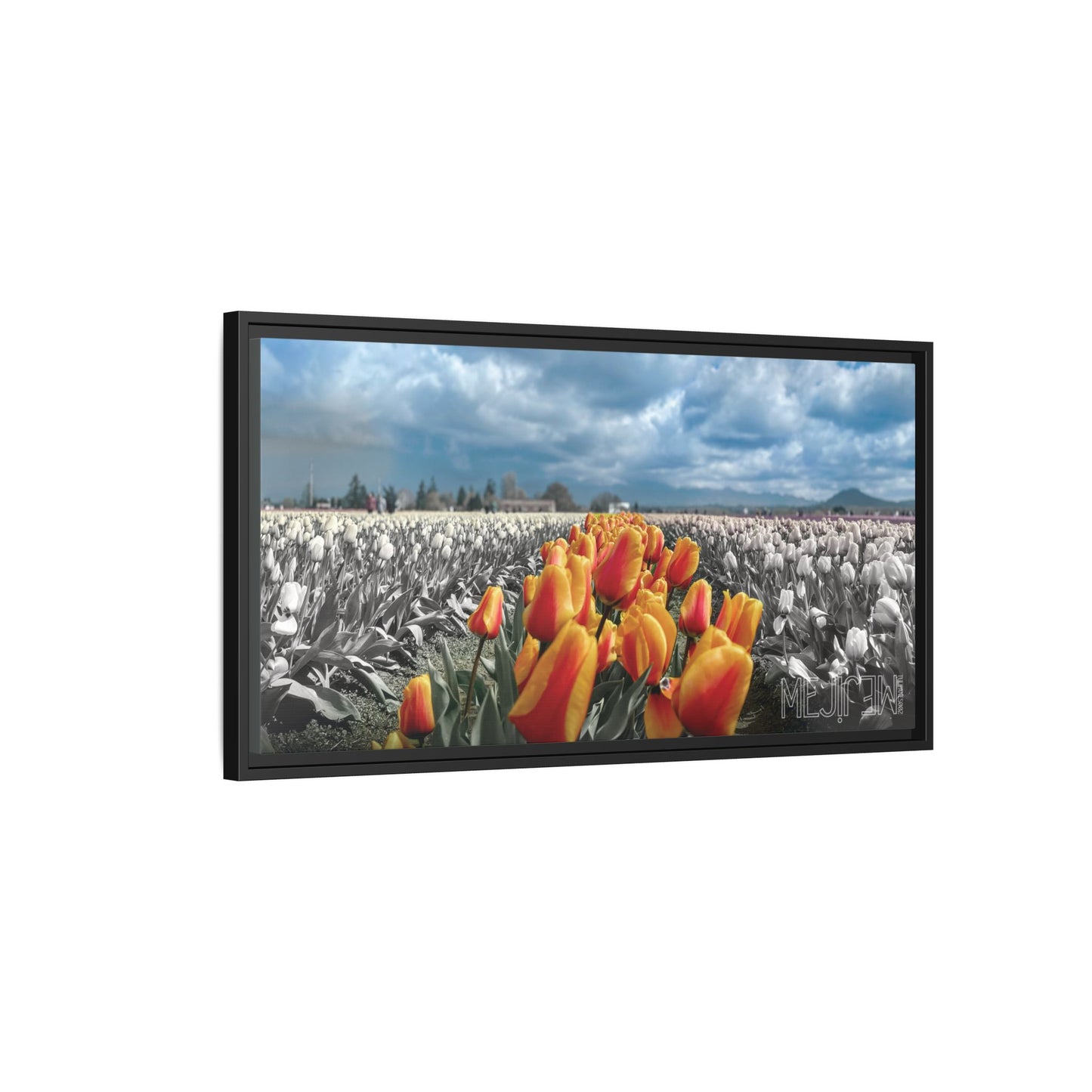 "TULIPANES 002 — Tranquility" Skagit Valley Tulip Field Print — Matte Canvas Wall Art