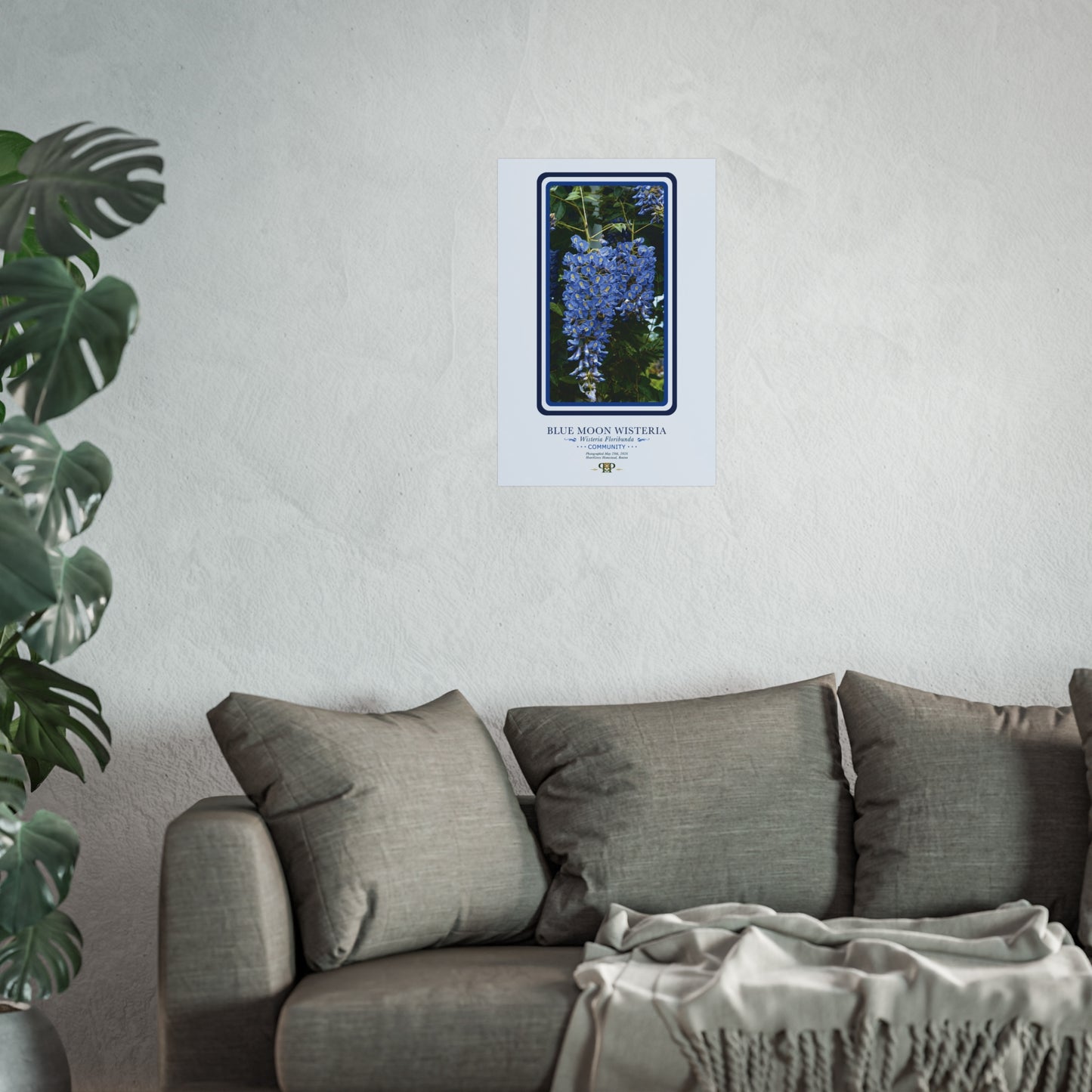 Blue Moon Wisteria Fine Art Poster | Botanical Wall Art | Community Nature Print