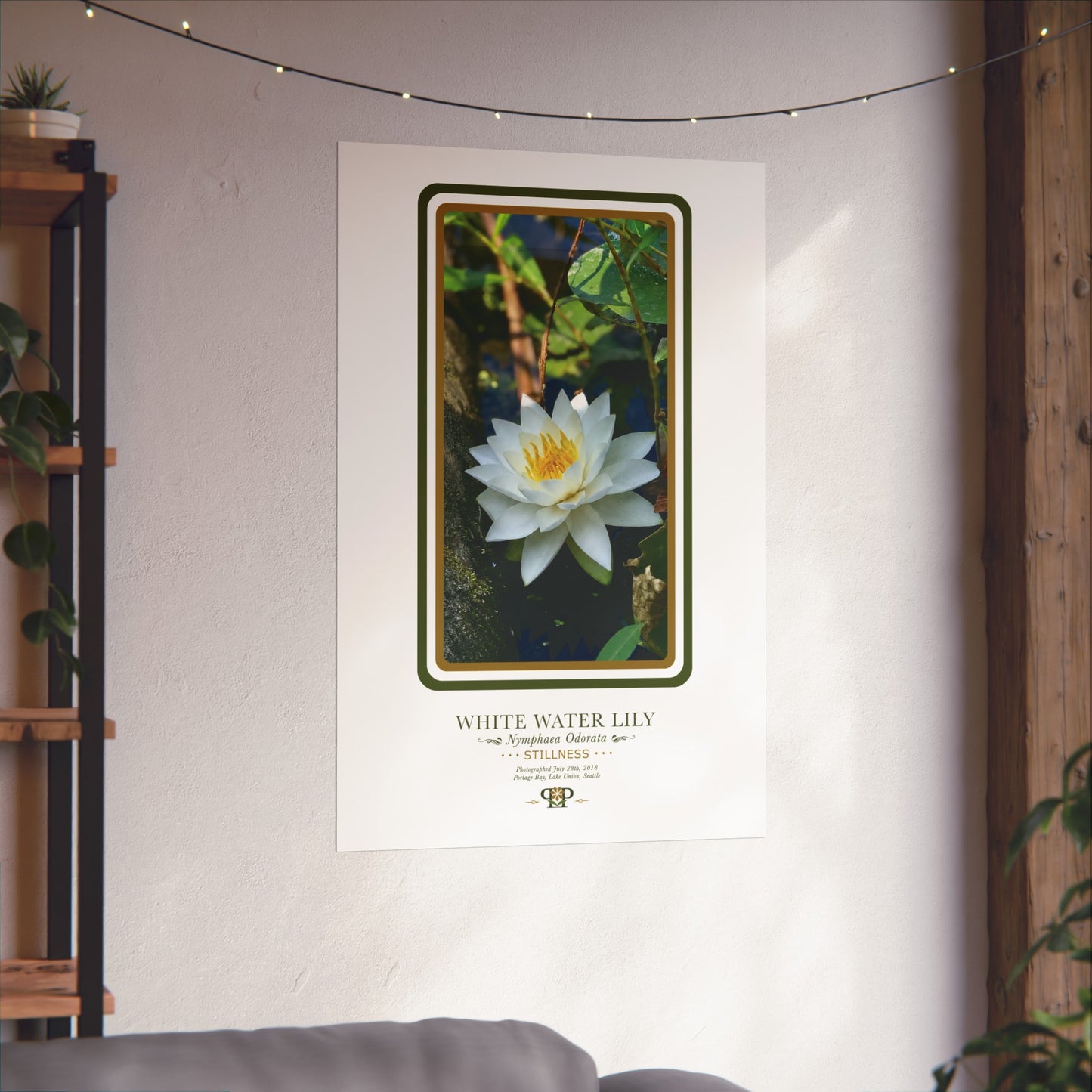 White Water Lily Fine Art Poster | Botanical Wall Art | Stillness Nature Print
