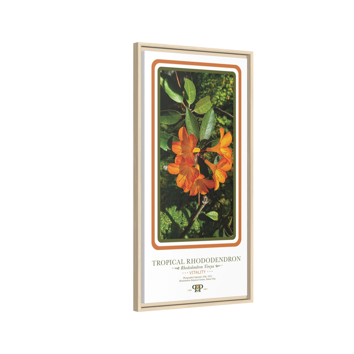 Framed “Vitality” Orange Azalea Botanical Wall Art - “PRIDE, PLANTED: ROOTED IN WORTH” COLLECTION