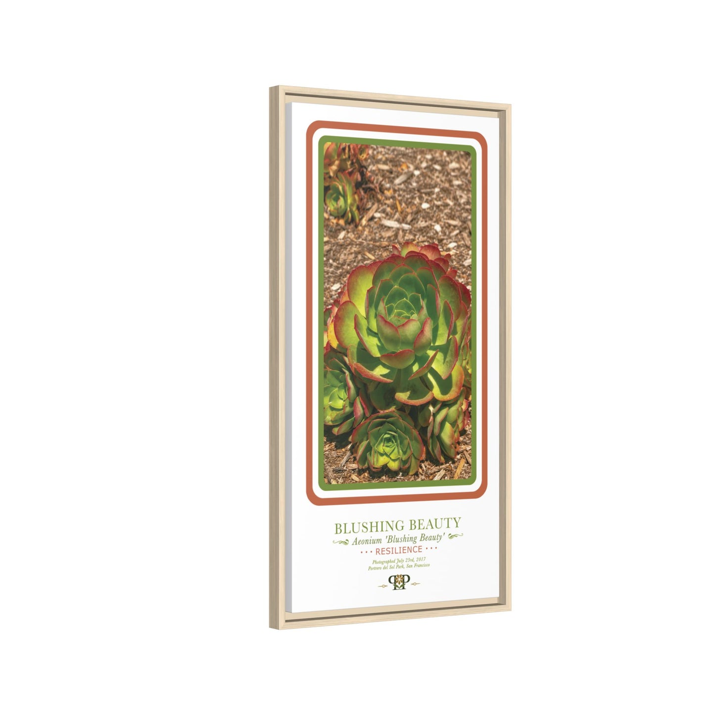 Framed “Resilience” Green Succulent Botanical Wall Art - “PRIDE, PLANTED: ROOTED IN WORTH” COLLECTION