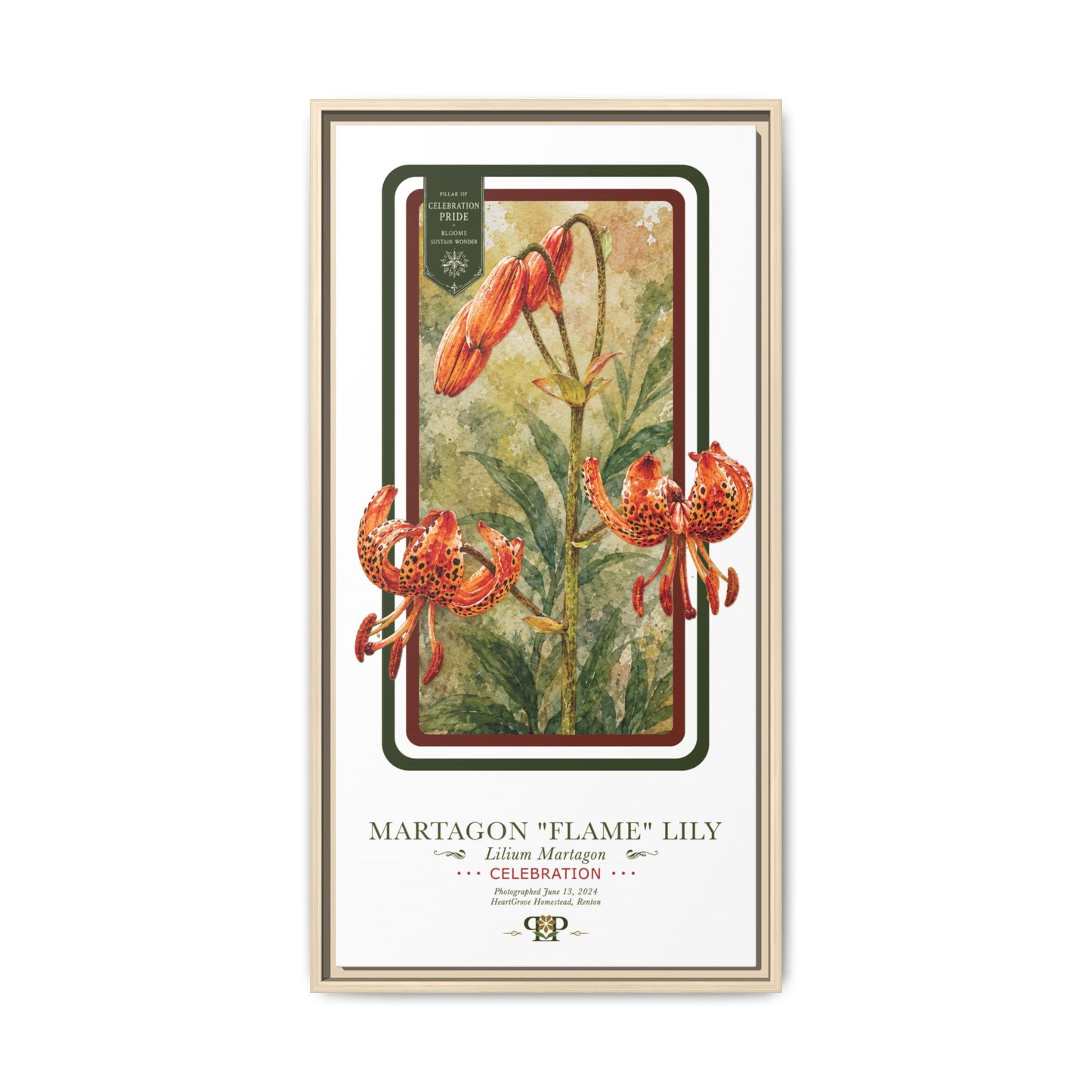 Framed “Celebration” Martagon Flame Lily Botanical Wall Art “PRIDE, PLANTED: ROOTED IN WORTH” COLLECTION