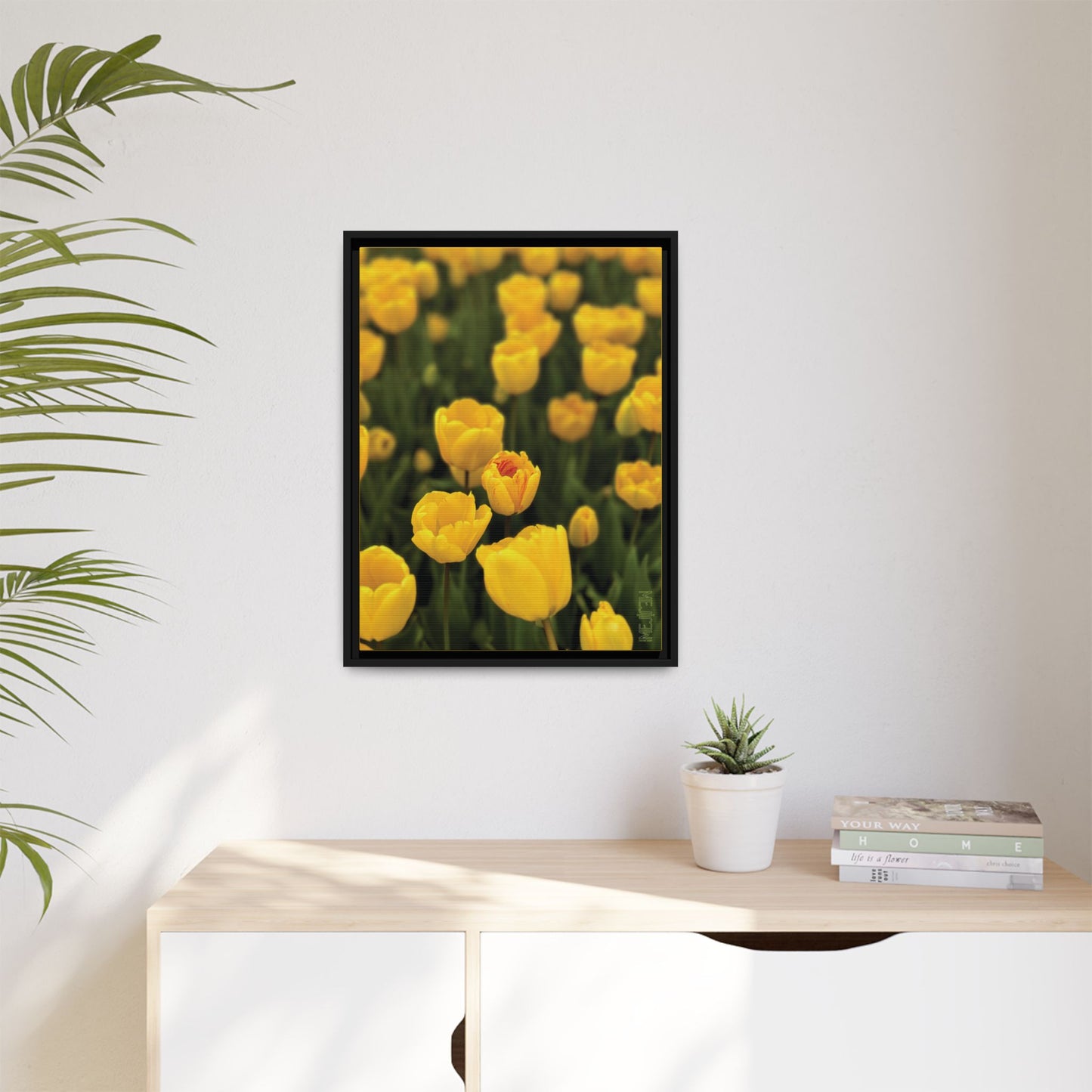 DAWNBREAK 001 — Chromatic Meji Explore Series: Tulips | Skagit Valley, WA GroveSense™ by José Domingo