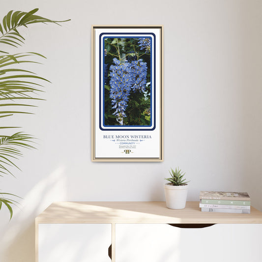 Framed “Community” Blue Moon Wisteria Botanical Wall Art - “PRIDE, PLANTED: ROOTED IN WORTH” COLLECTION