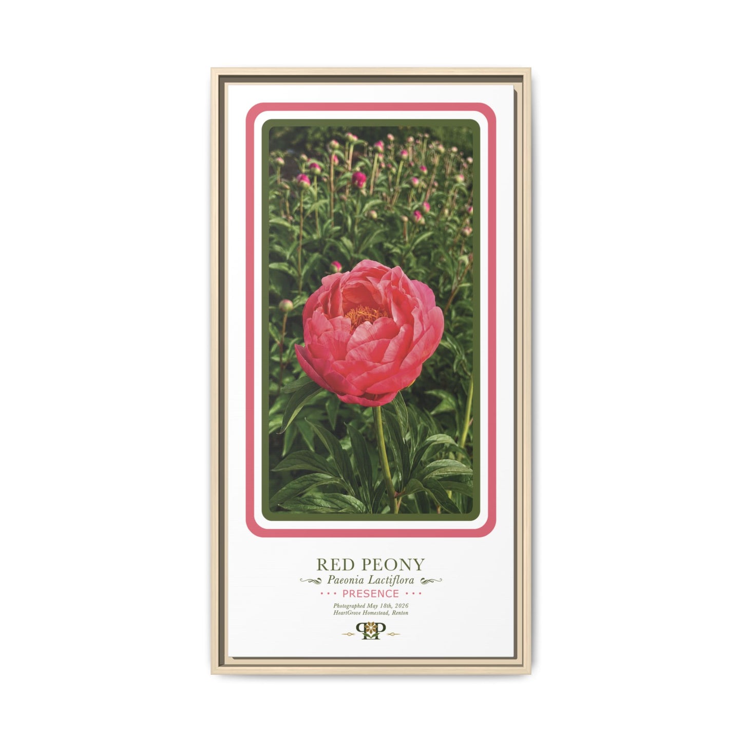 Framed “Presence” Red Peony Botanical Wall Art - “PRIDE, PLANTED: ROOTED IN WORTH” COLLECTION