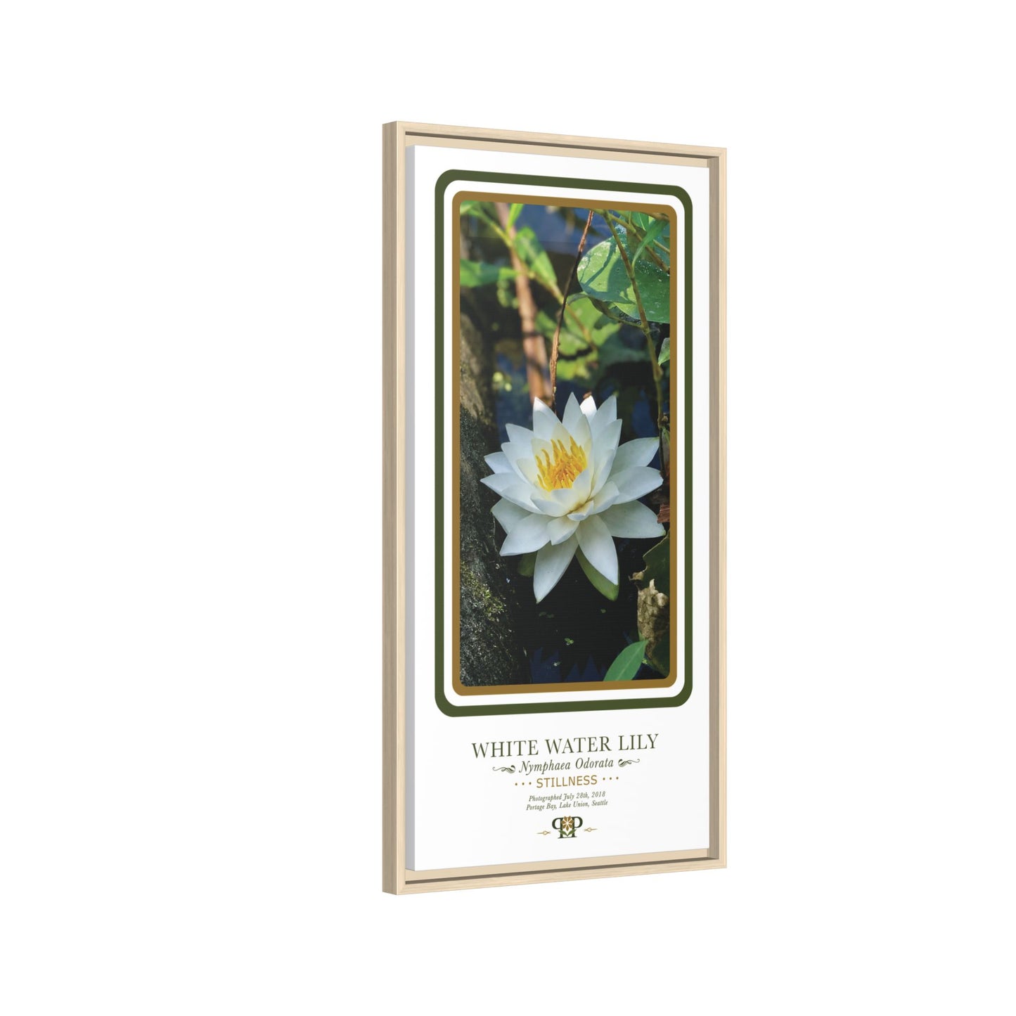 Framed "Stillness" White Water Lily Botanical Wall Art - "PRIDE, PLANTED: ROOTED IN WORTH" COLLECTION