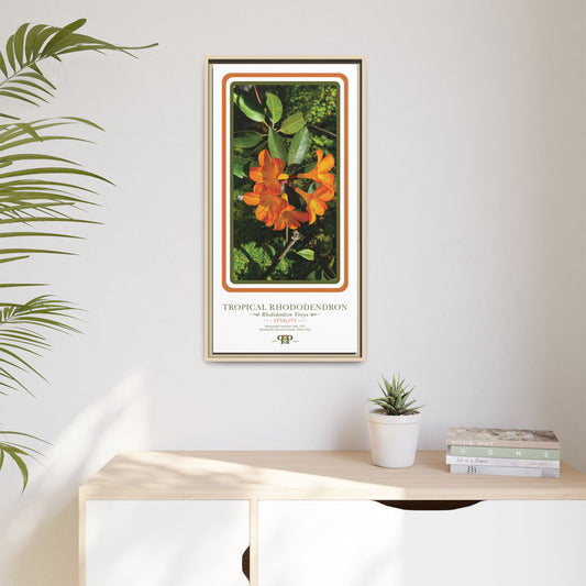 Framed “Vitality” Orange Azalea Botanical Wall Art - “PRIDE, PLANTED: ROOTED IN WORTH” COLLECTION