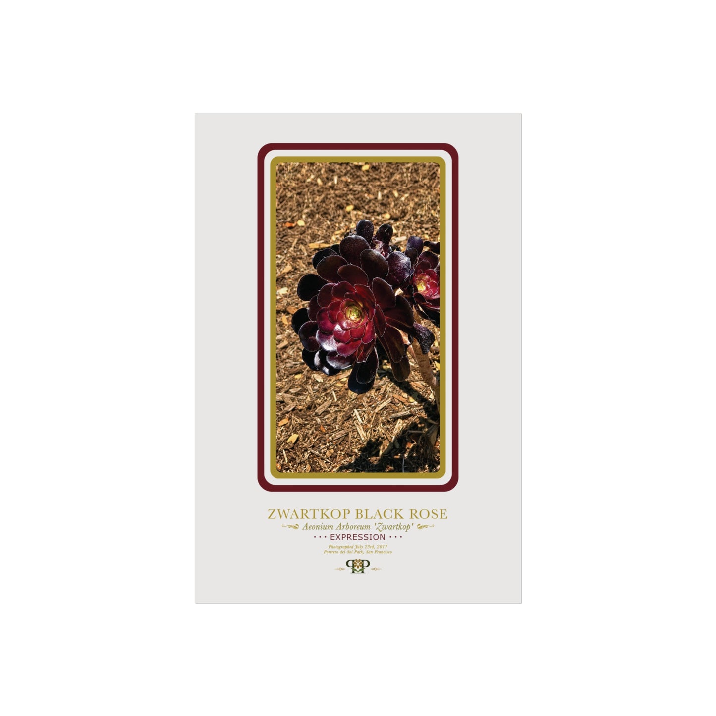 Black Rose Fine Art Poster | Botanical Wall Art | Expression Nature Print
