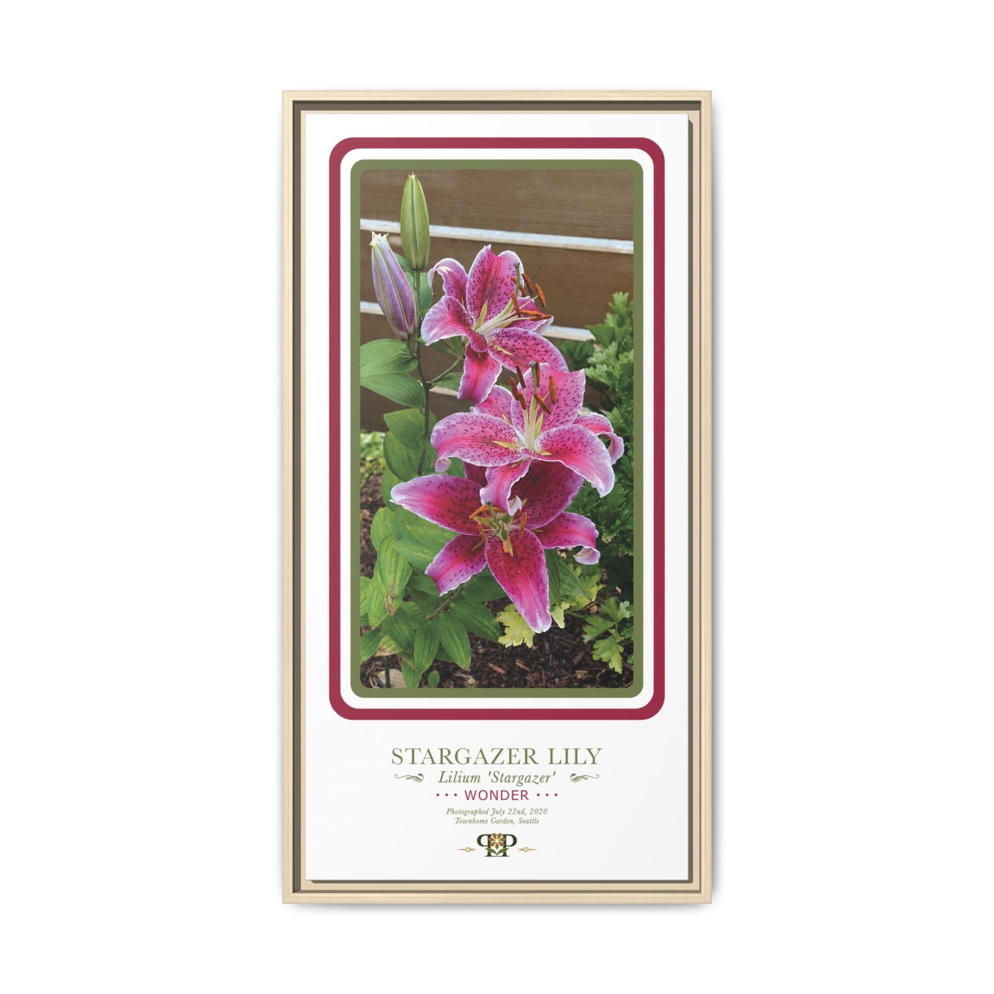 Framed “Wonder” Stargazer Lily Botanical Wall Art - “PRIDE, PLANTED: ROOTED IN WORTH” COLLECTION