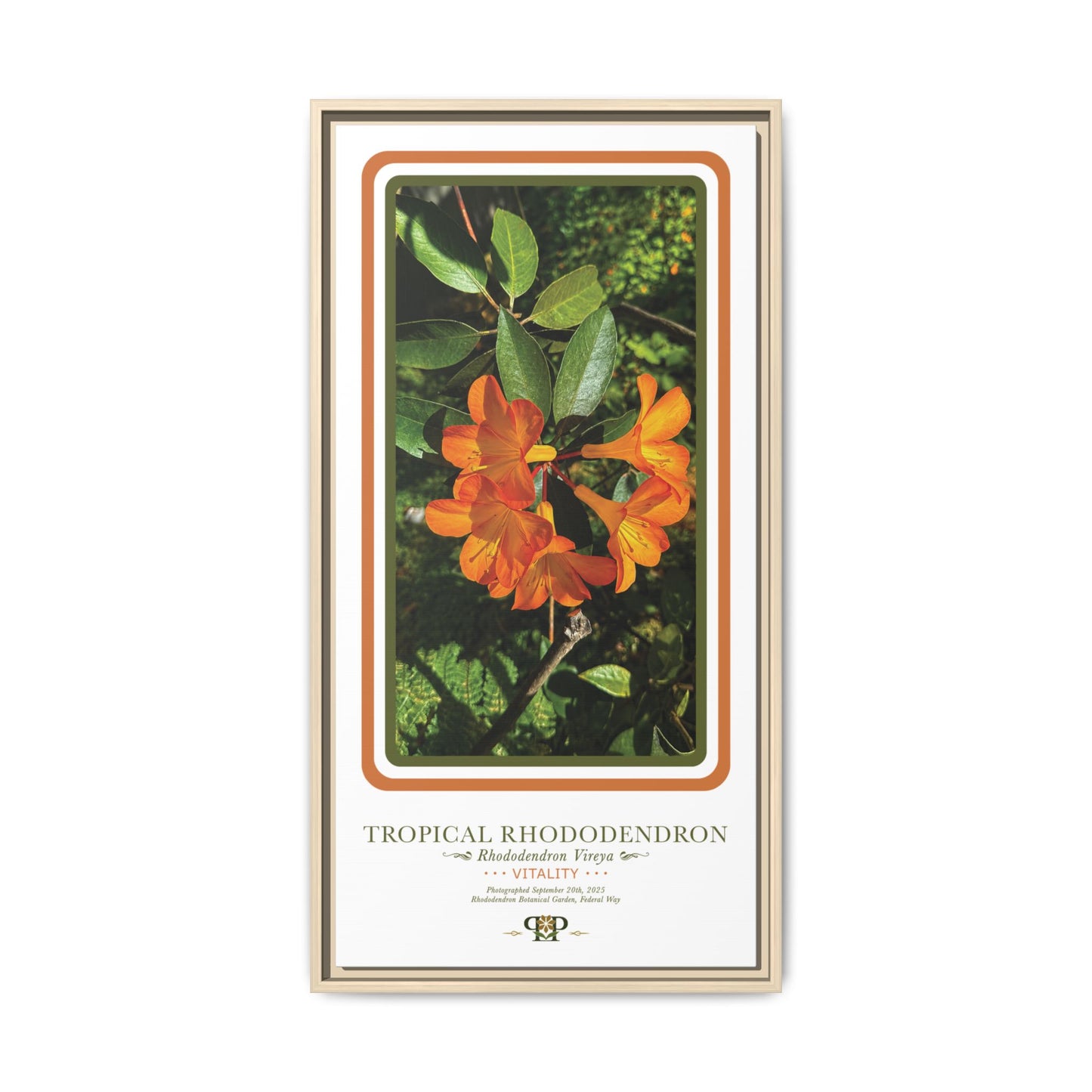 Framed “Vitality” Orange Azalea Botanical Wall Art - “PRIDE, PLANTED: ROOTED IN WORTH” COLLECTION