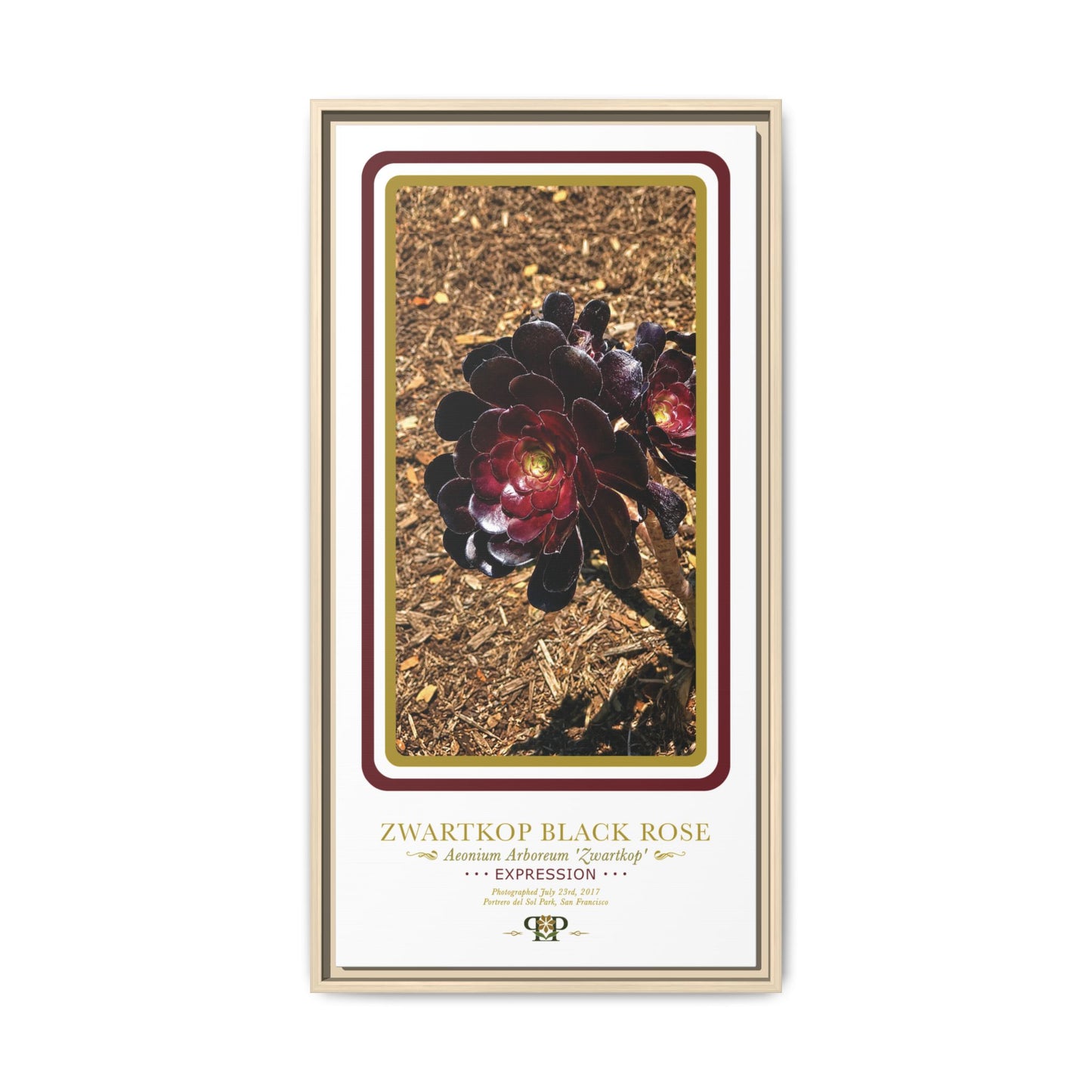 Framed “Expression” Black Rose Botanical Wall Art - “PRIDE, PLANTED: ROOTED IN WORTH” COLLECTION