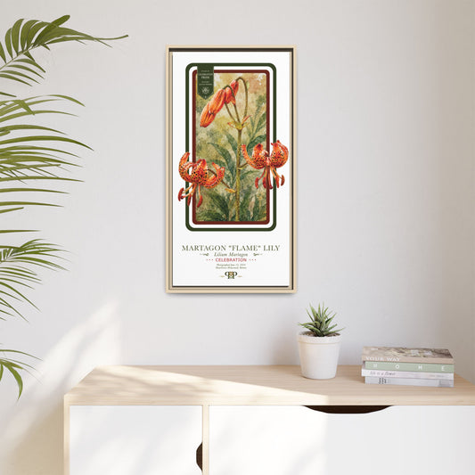 Framed “Celebration” Martagon Flame Lily Botanical Wall Art “PRIDE, PLANTED: ROOTED IN WORTH” COLLECTION
