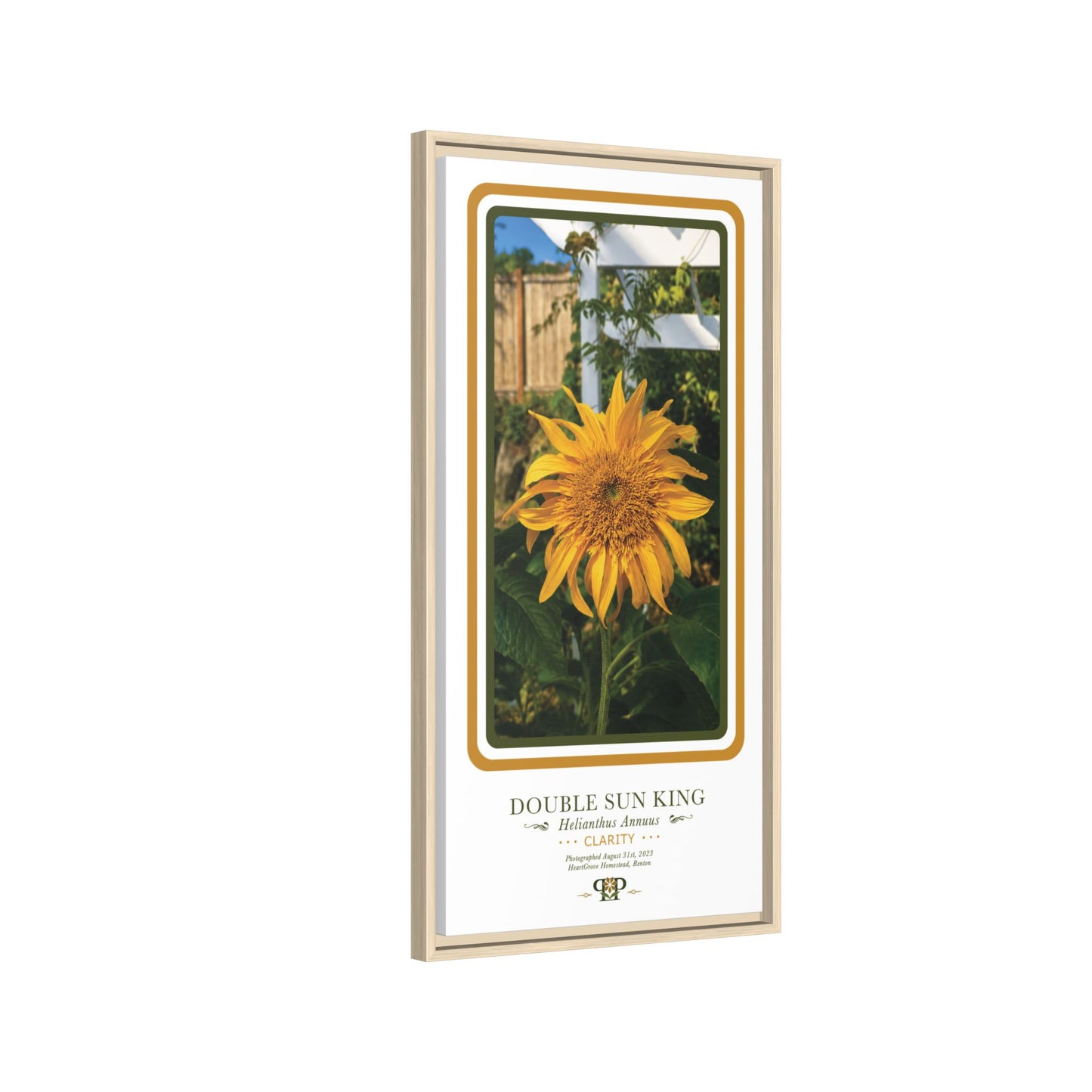 Framed “Clarity” Yellow Sunflower Botanical Wall Art - “PRIDE, PLANTED: ROOTED IN WORTH” COLLECTION