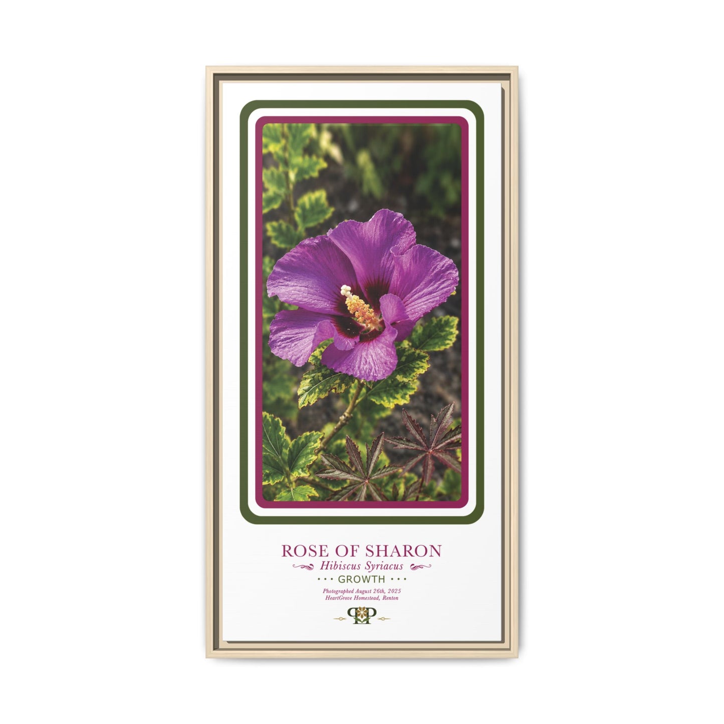 Framed “Growth” Hibiscus Botanical Wall Art - “PRIDE, PLANTED: ROOTED IN WORTH” COLLECTION