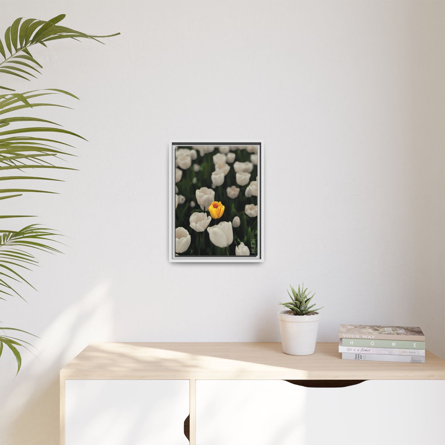DAWNBREAK 002 — Solace Meji Explore Series: Tulips | Skagit Valley, WA GroveSense™ by José Domingo