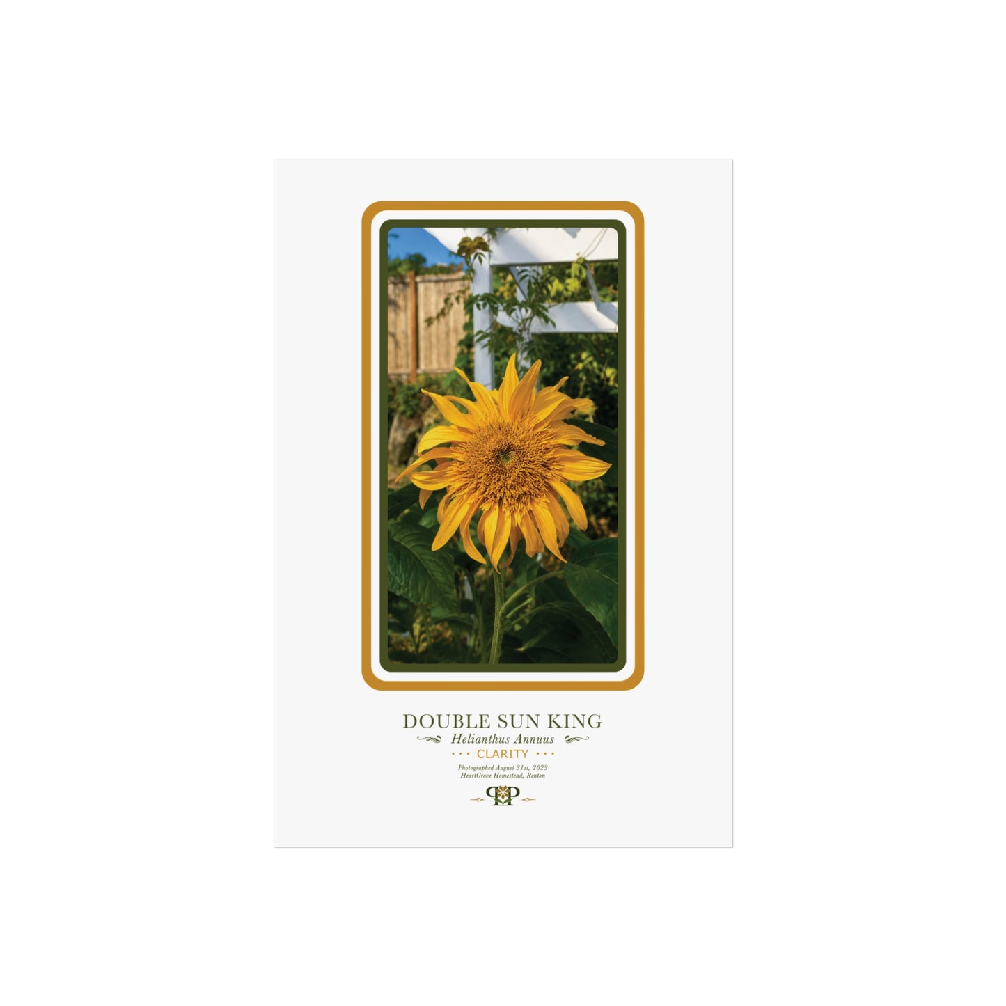 Yellow Sunflower Fine Art Poster | Botanical Wall Art | Clarity Nature Print