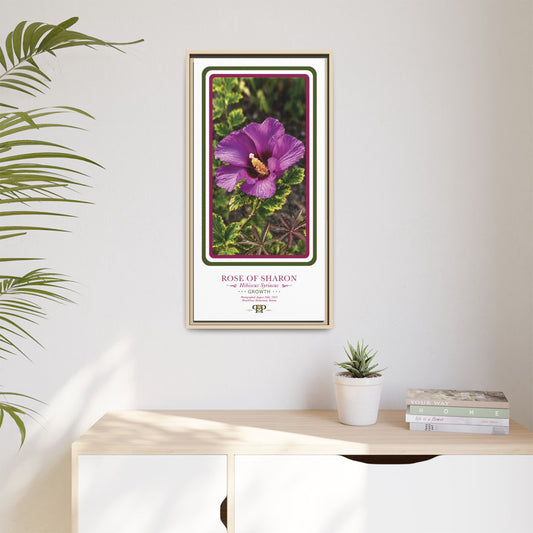 Framed “Growth” Hibiscus Botanical Wall Art - “PRIDE, PLANTED: ROOTED IN WORTH” COLLECTION