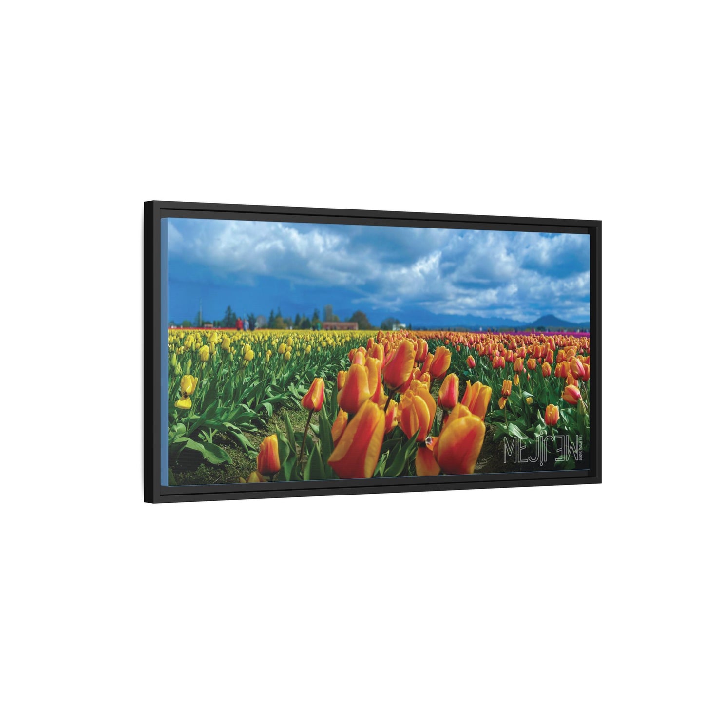 "TULIPANES 001 — Chromatic" Skagit Valley Tulip Field Print — Matte Canvas Wall Art