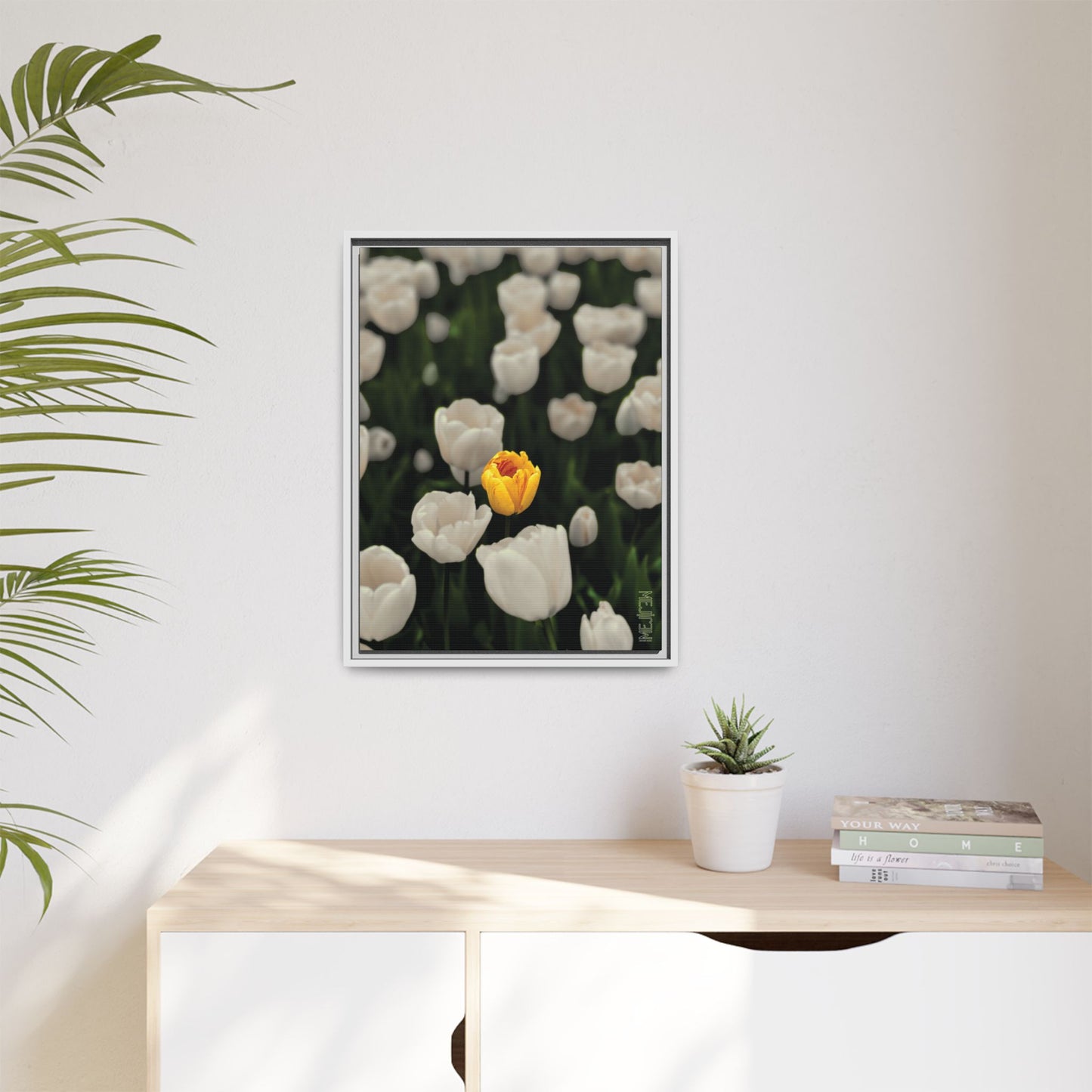 DAWNBREAK 002 — Solace Meji Explore Series: Tulips | Skagit Valley, WA GroveSense™ by José Domingo