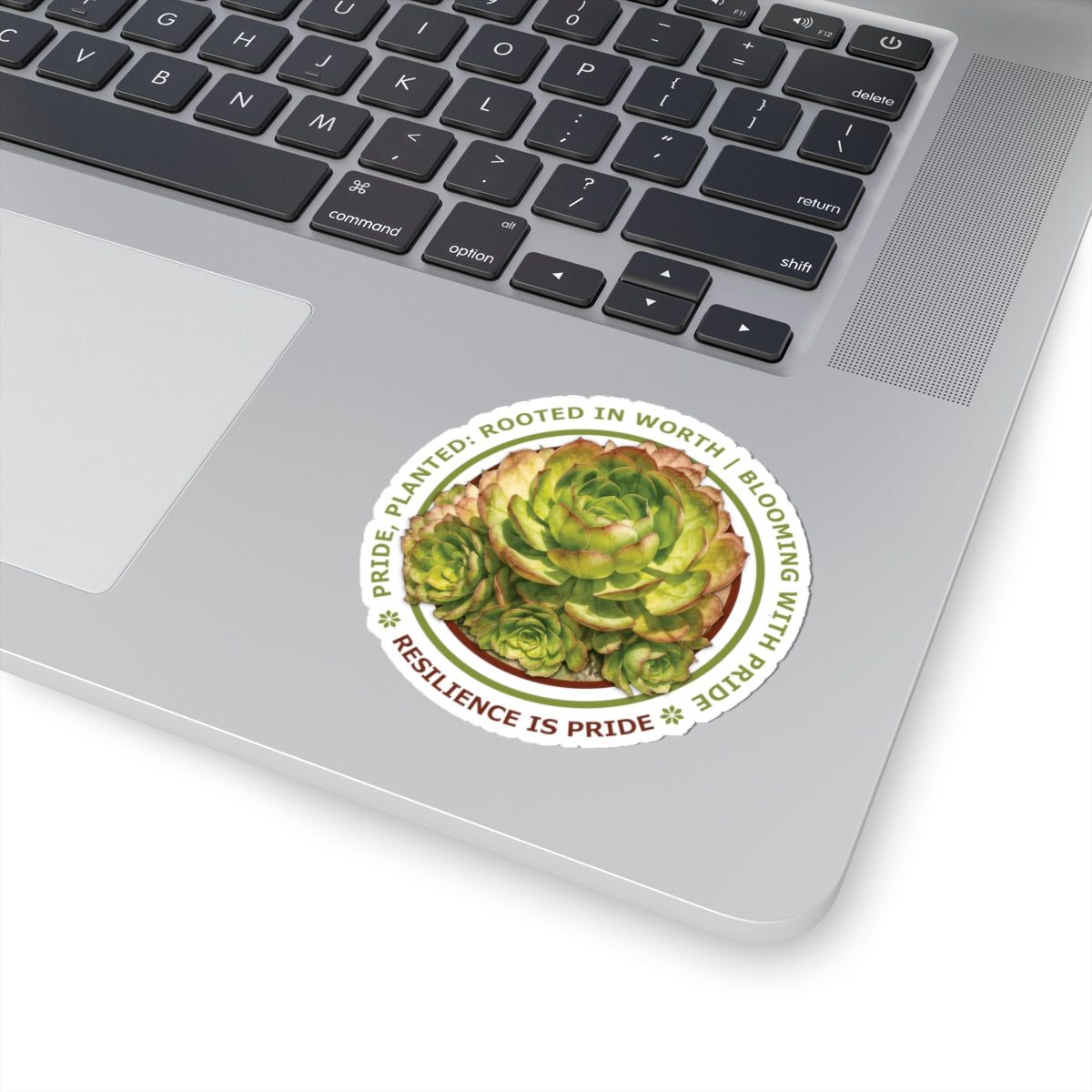“Resilience Is Pride” Vinyl Sticker - Pride, Planted: Rooted in Worth collection.