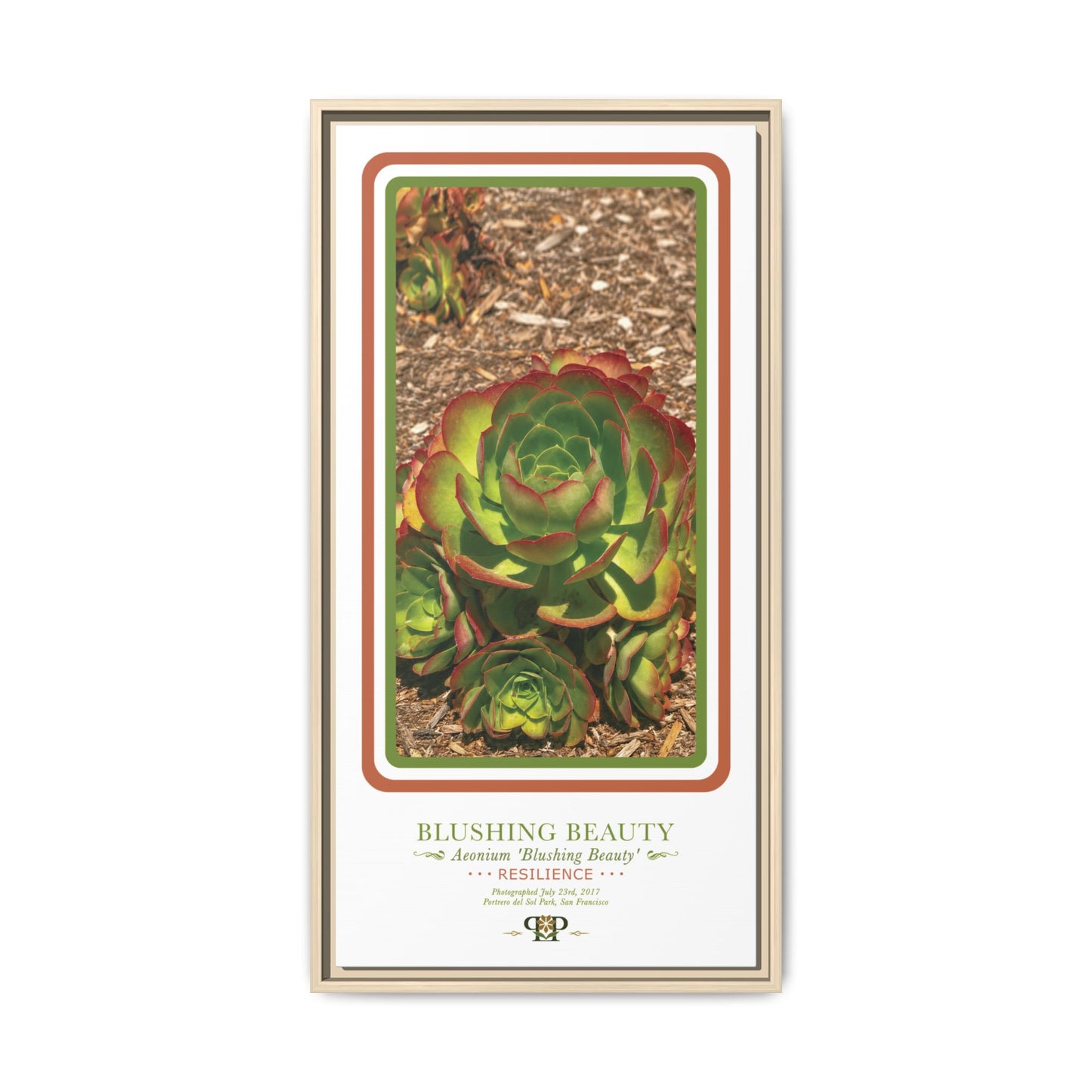 Framed “Resilience” Green Succulent Botanical Wall Art - “PRIDE, PLANTED: ROOTED IN WORTH” COLLECTION