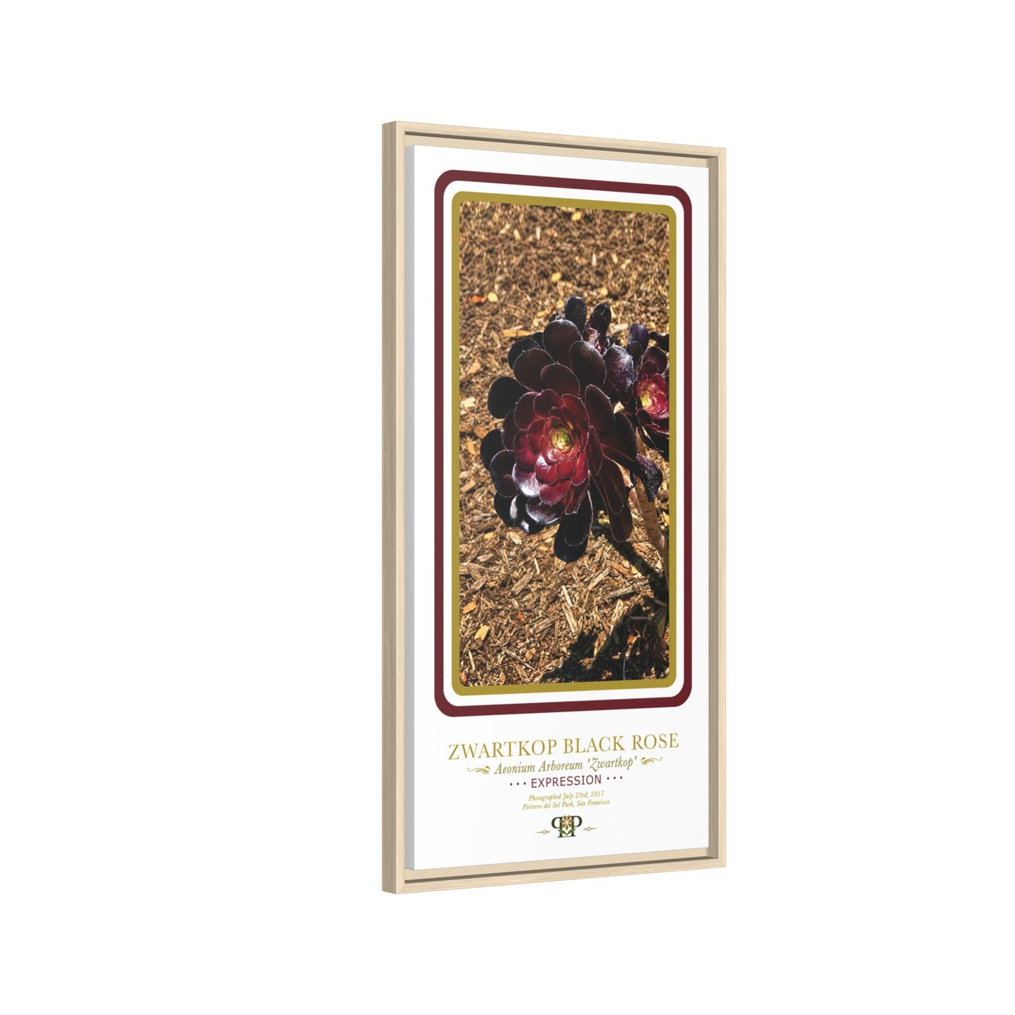 Framed “Expression” Black Rose Botanical Wall Art - “PRIDE, PLANTED: ROOTED IN WORTH” COLLECTION