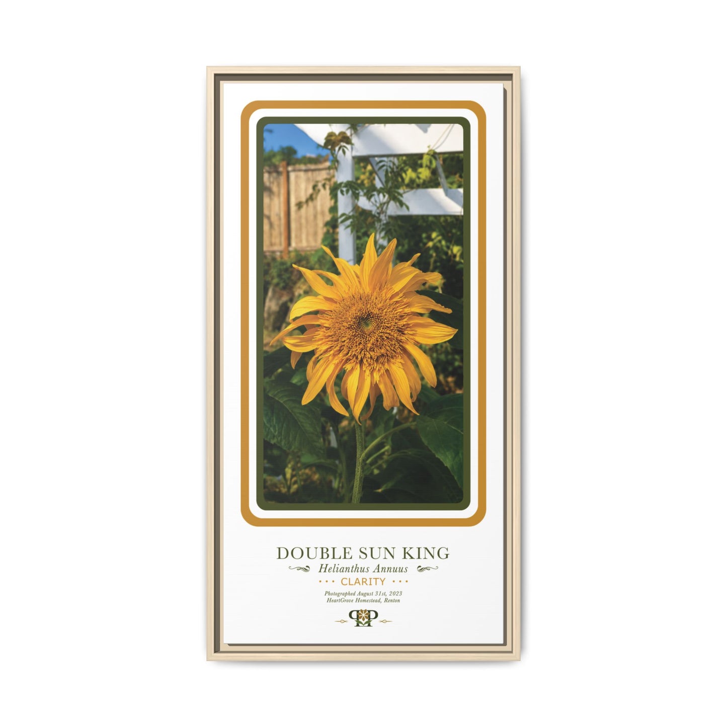 Framed “Clarity” Yellow Sunflower Botanical Wall Art - “PRIDE, PLANTED: ROOTED IN WORTH” COLLECTION