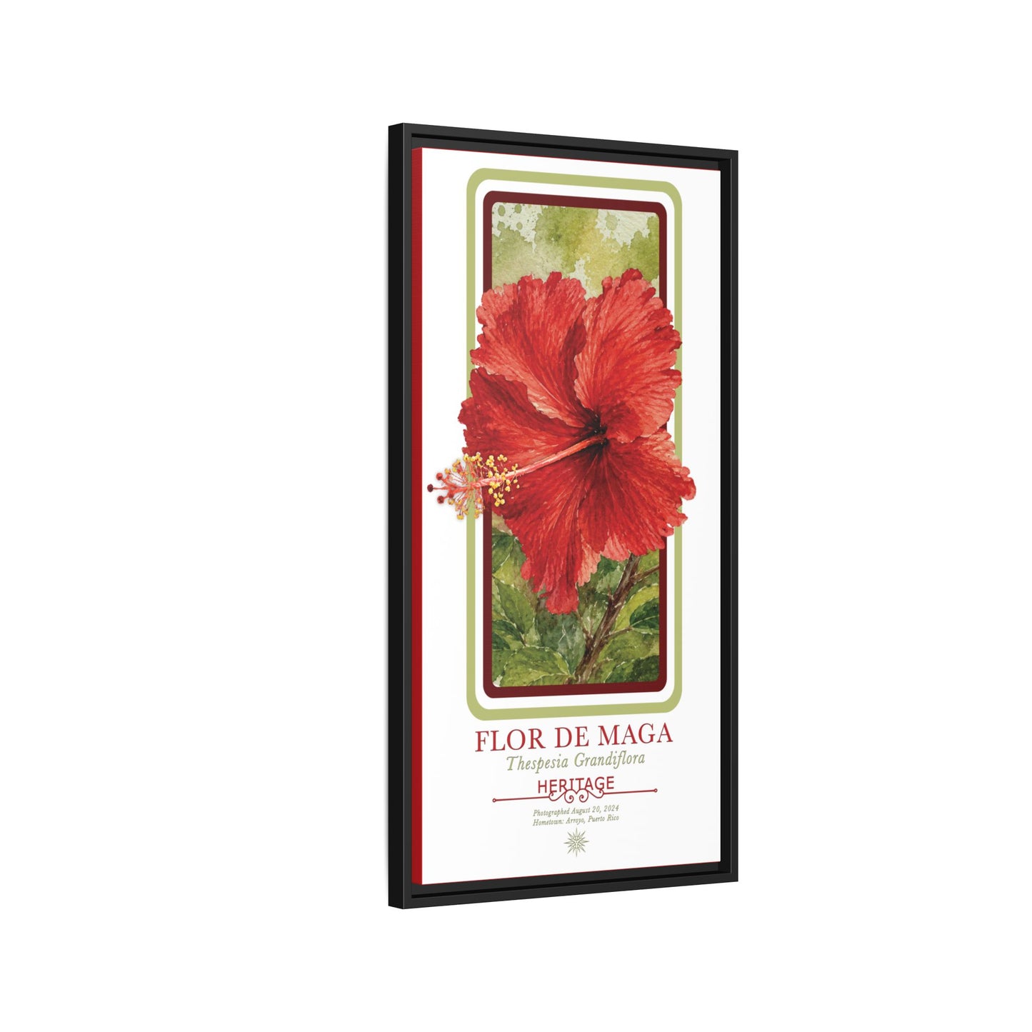 "Flor de Maga" Heritage Botanical Art Print — GroveSense Garden of Belonging Series